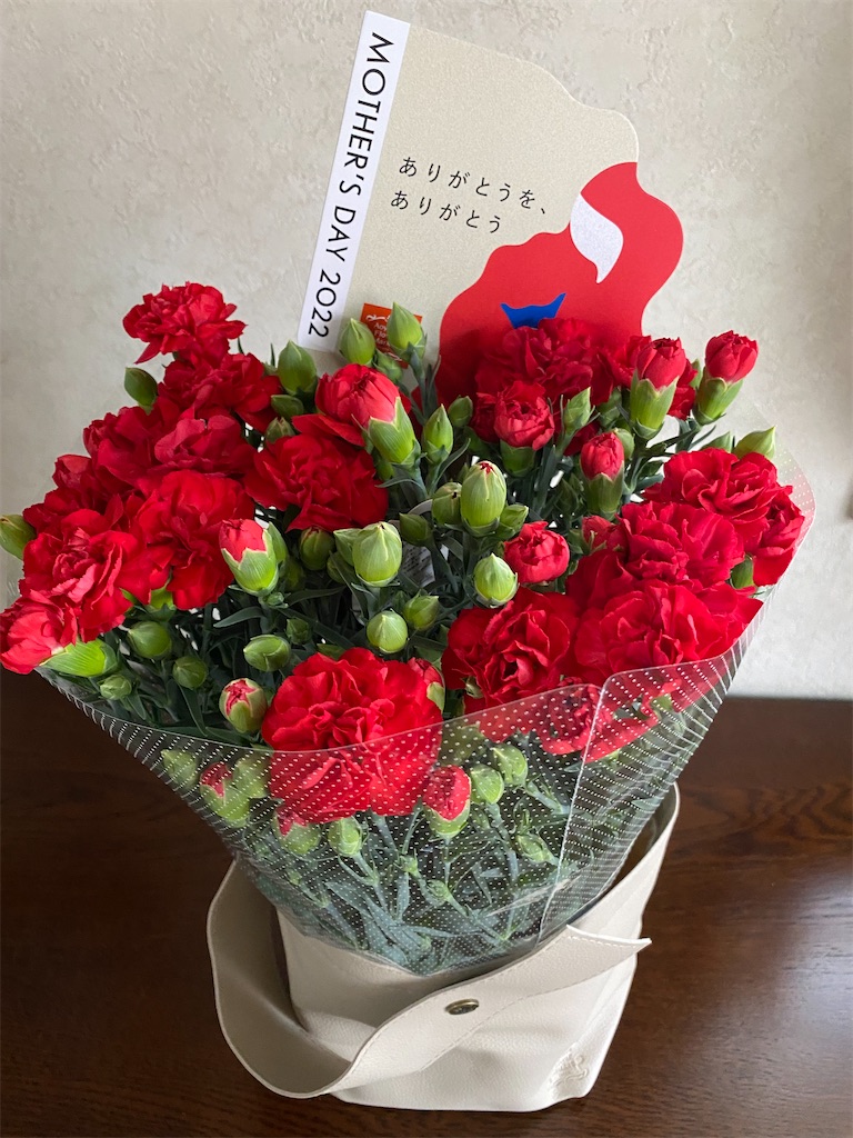 f:id:adamari042528:20220509204626j:image f:id:adamari042528:20220509204626j:image