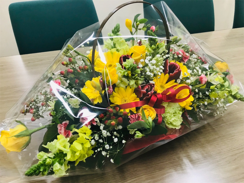 f:id:adamas111jp:20190215153549j:image f:id:adamas111jp:20190215153549j:image