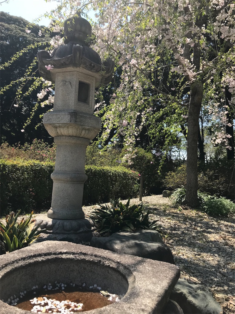 f:id:adamas111jp:20190418144501j:image