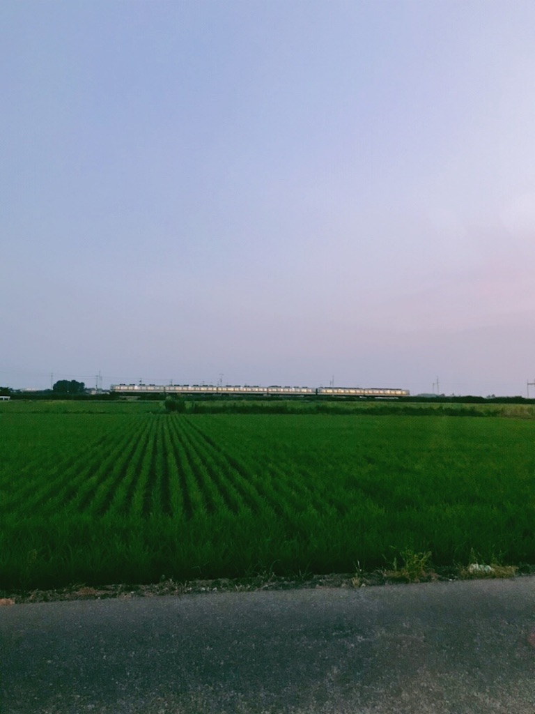 f:id:adamas111jp:20190803205743j:image