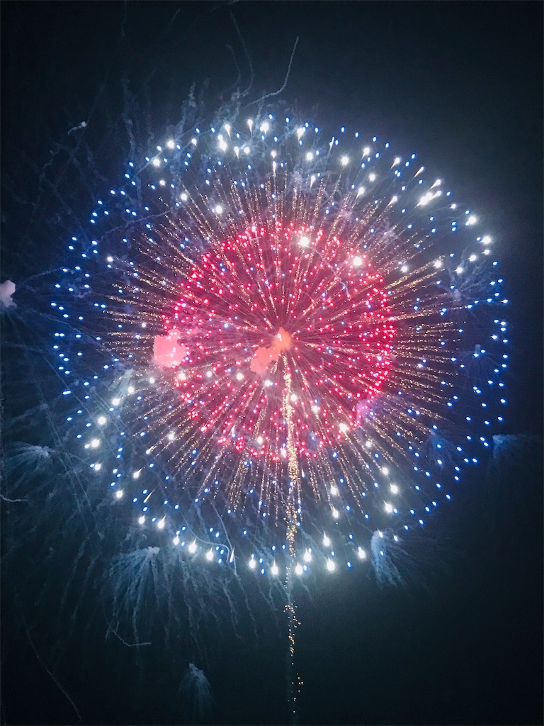 f:id:adamas111jp:20190810215432j:image f:id:adamas111jp:20190810215432j:image