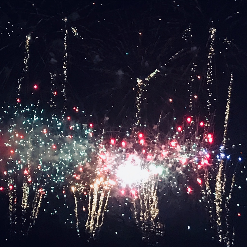 f:id:adamas111jp:20190810215448j:image f:id:adamas111jp:20190810215448j:image