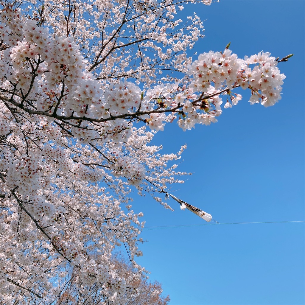 f:id:adamas111jp:20220406160955j:image