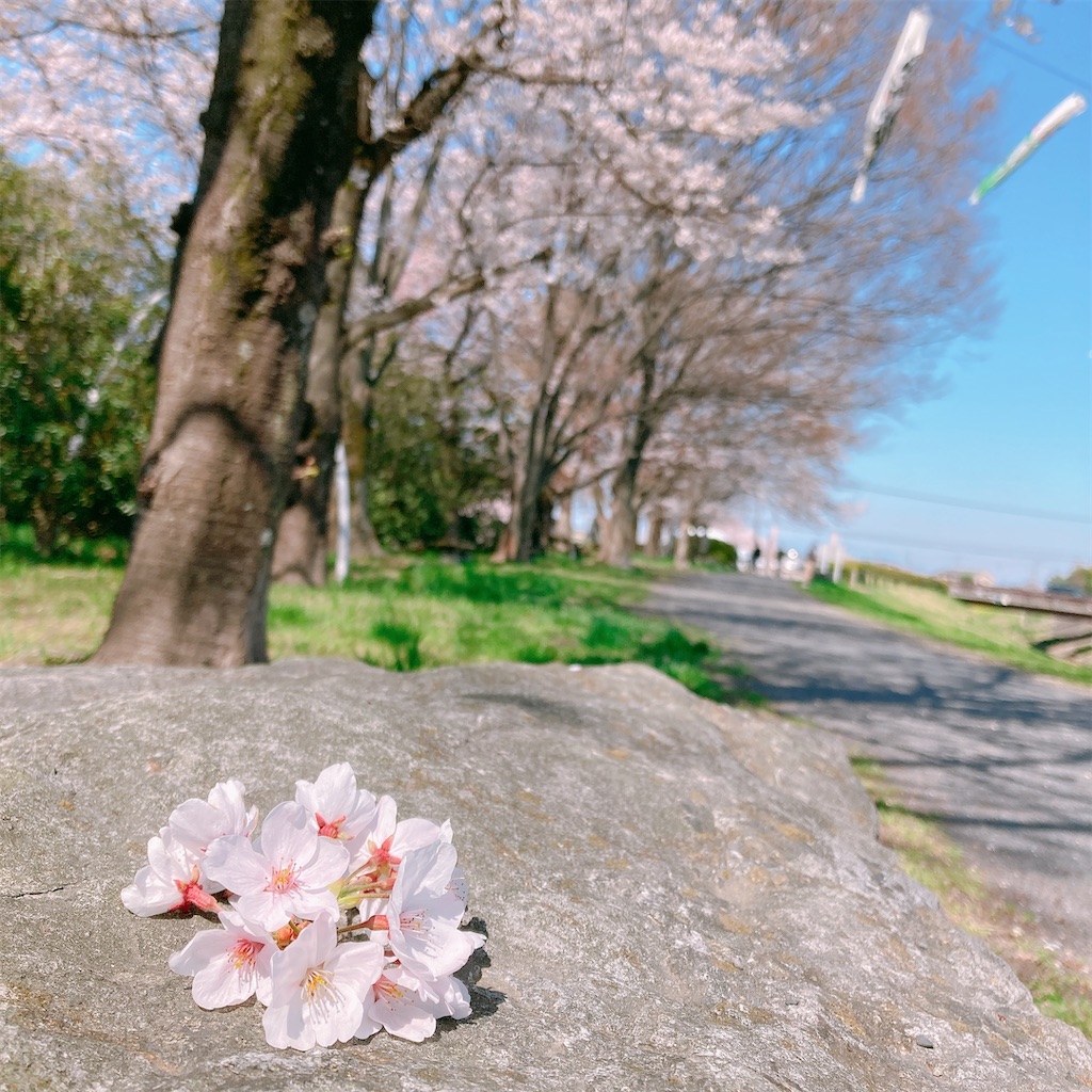 f:id:adamas111jp:20220406161737j:image