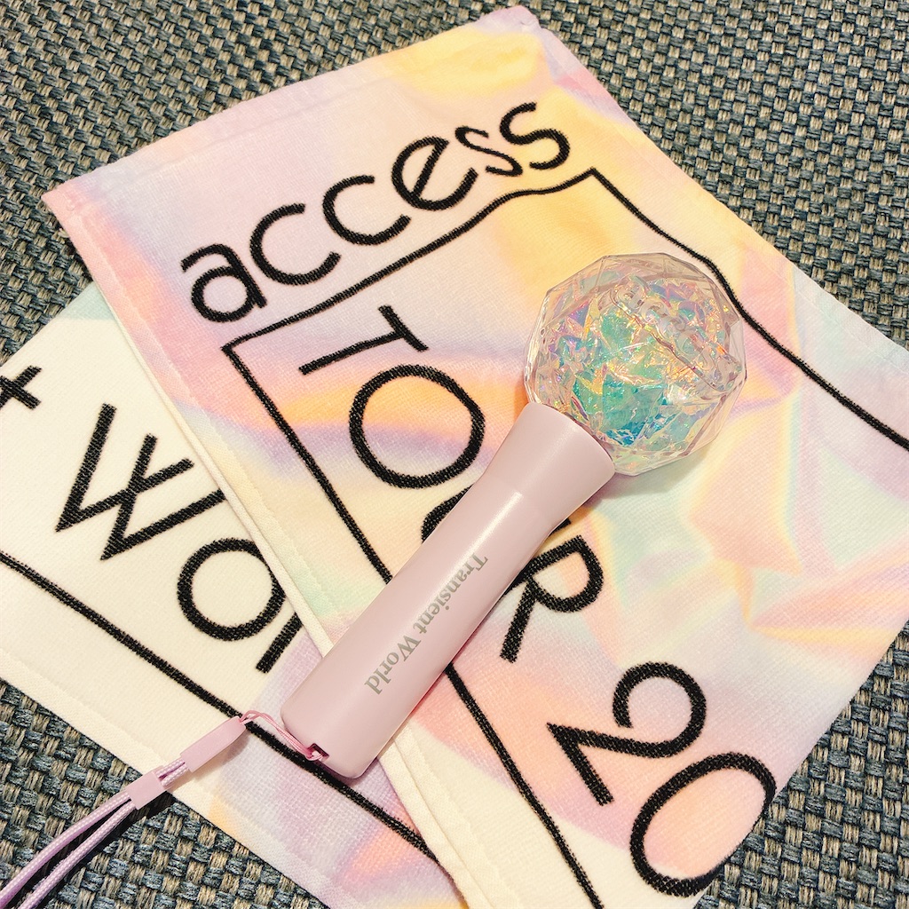 f:id:adamas111jp:20251129221452j:image