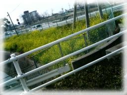 f:id:adamay_k:20070304221826j:image