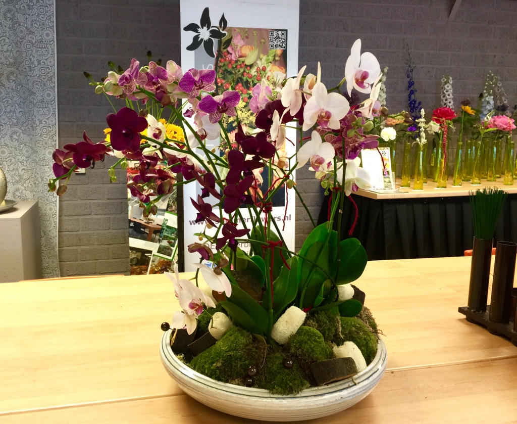 f:id:adamtomoko:20160629015802j:plain f:id:adamtomoko:20160629015802j:plain