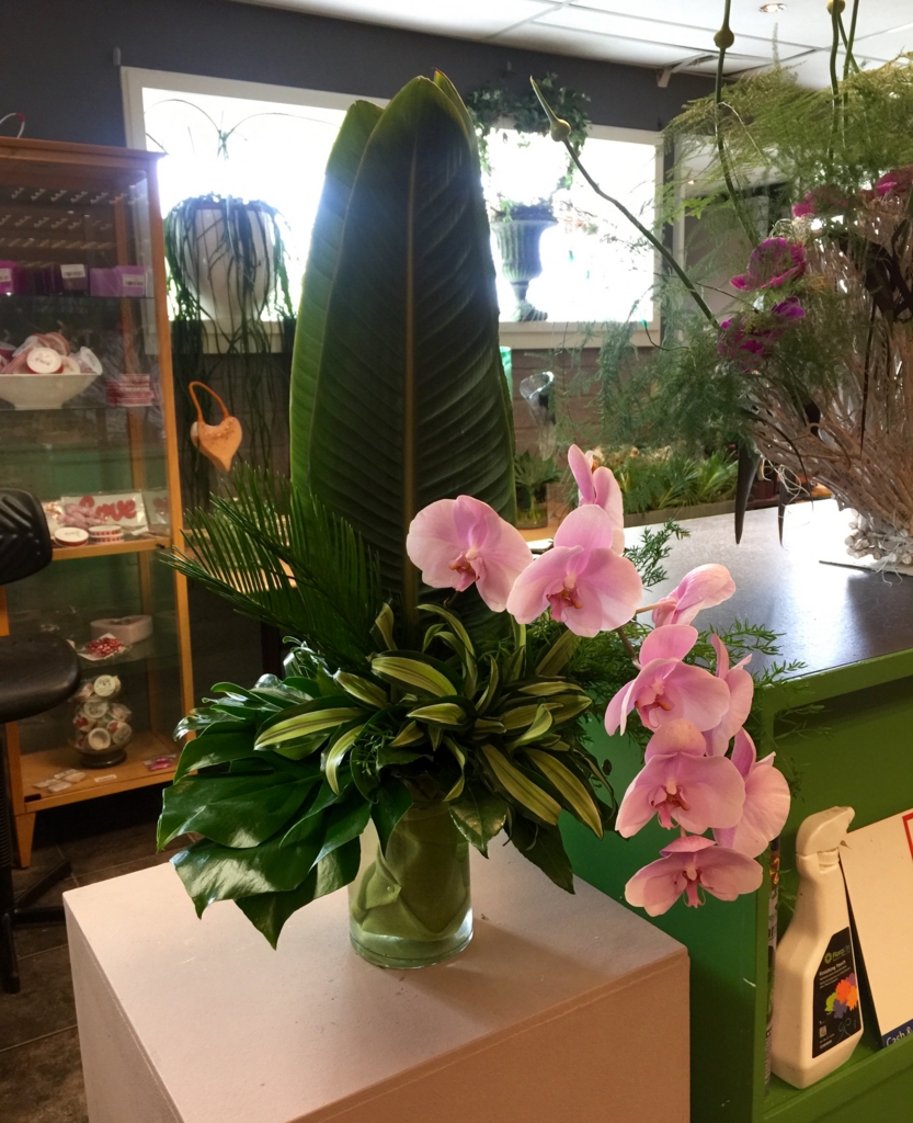 f:id:adamtomoko:20160629021145j:plain f:id:adamtomoko:20160629021145j:plain