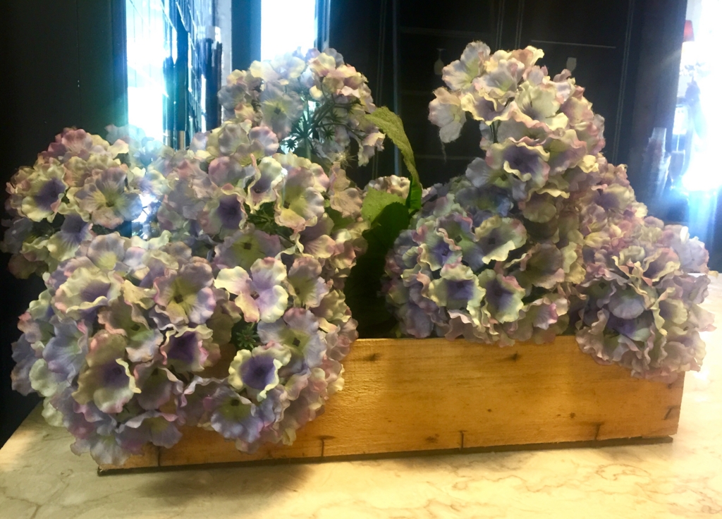 f:id:adamtomoko:20160711230053j:plain