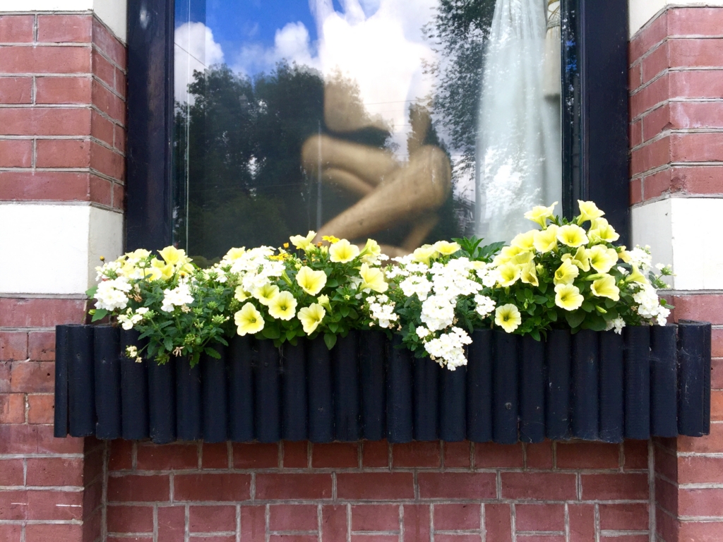 f:id:adamtomoko:20160721214351j:plain