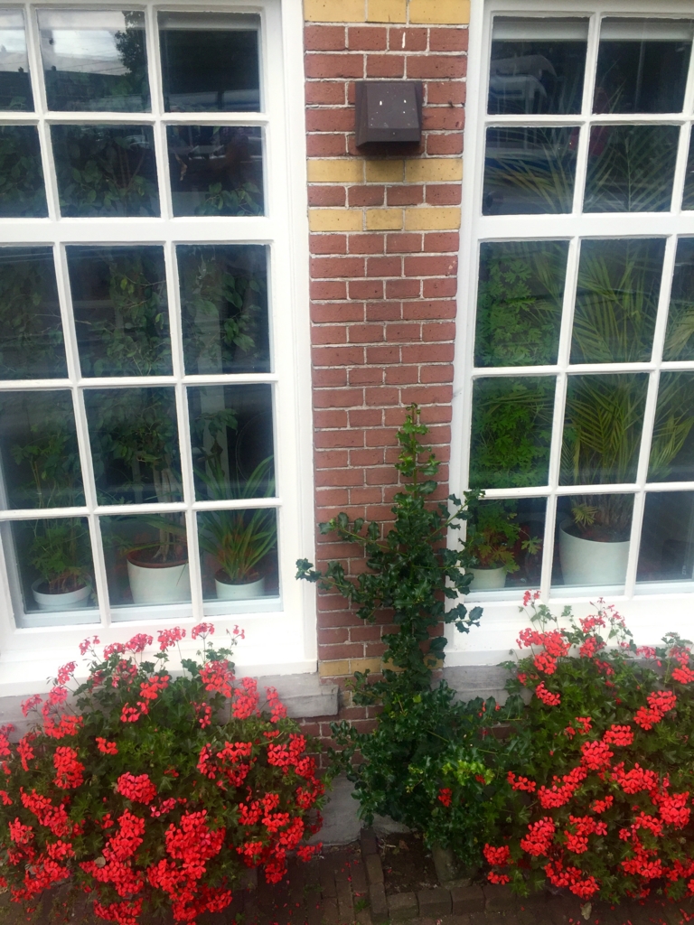 f:id:adamtomoko:20160721214435j:plain