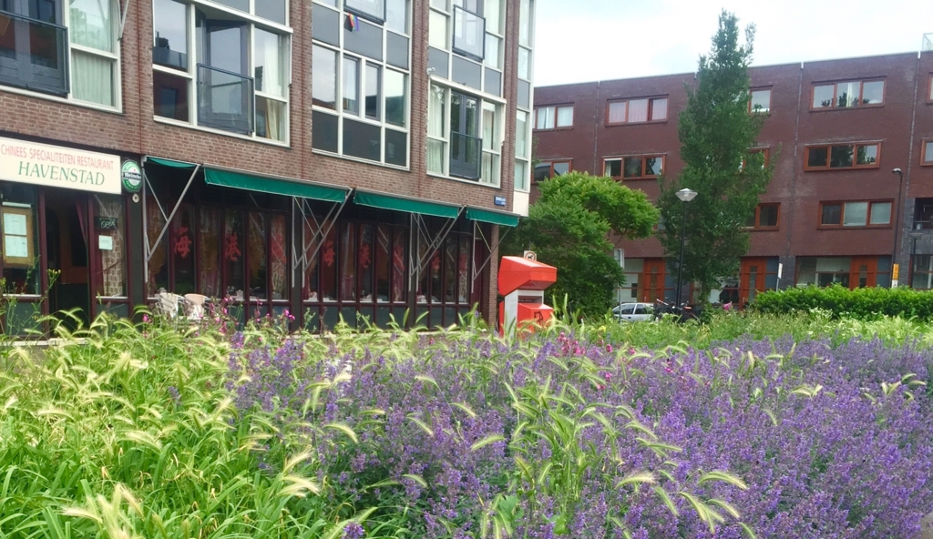 f:id:adamtomoko:20160721215027j:plain