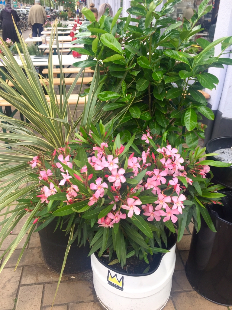 f:id:adamtomoko:20160722030500j:plain