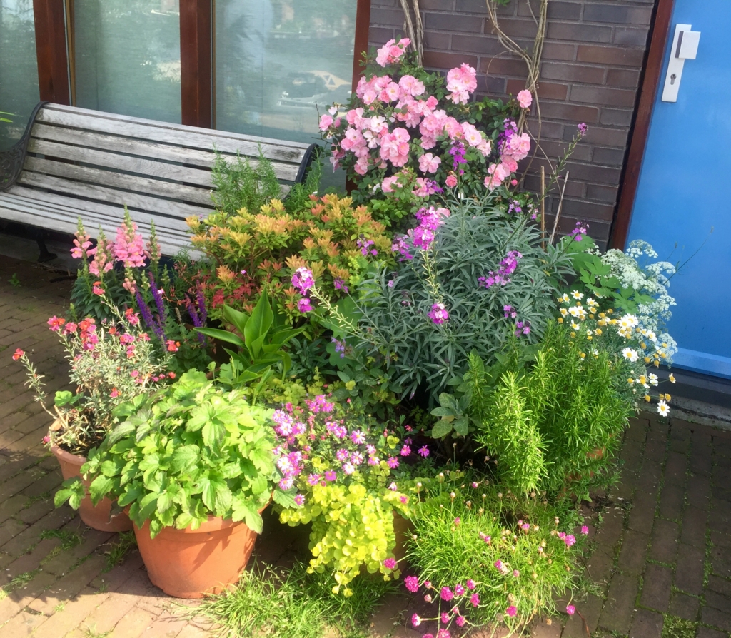 f:id:adamtomoko:20160722033140j:plain