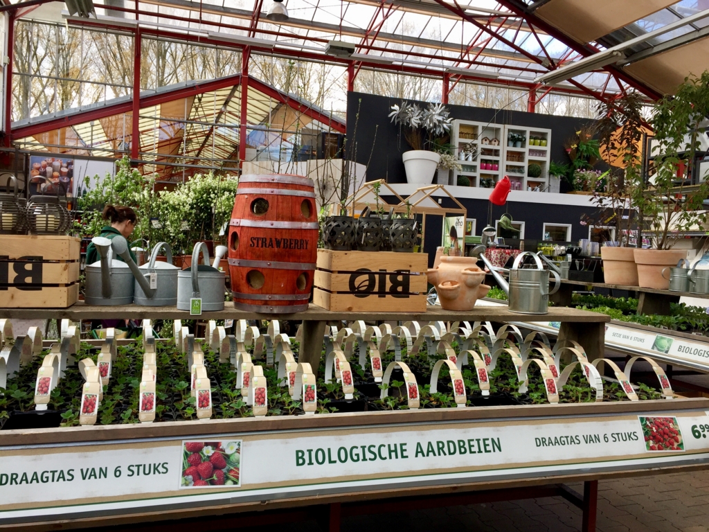 アムステルダム 春のガーデンセンター事情 １ 66才からのアムステルダム生活