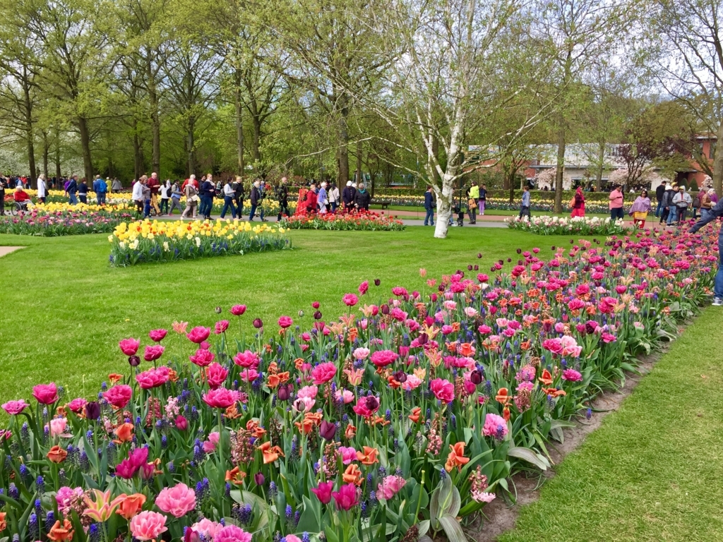 f:id:adamtomoko:20180425025456j:plain