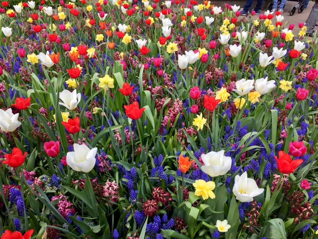 f:id:adamtomoko:20180425025545j:plain