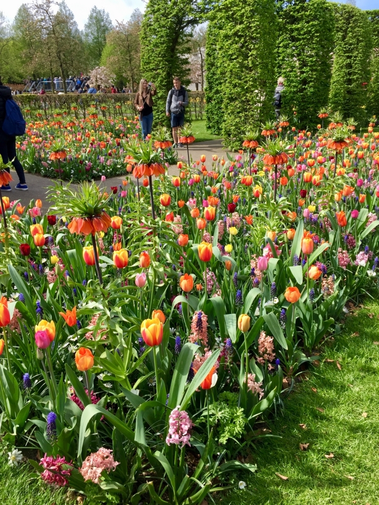 f:id:adamtomoko:20180425025812j:plain