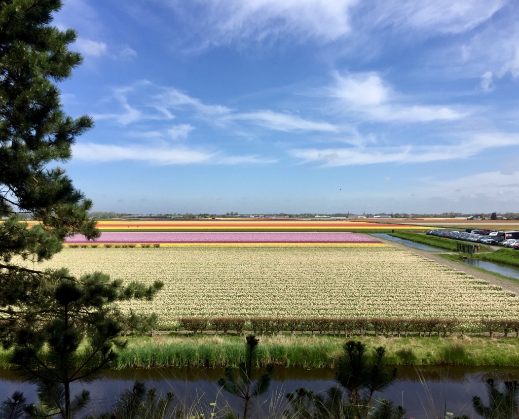 f:id:adamtomoko:20180425031033j:plain