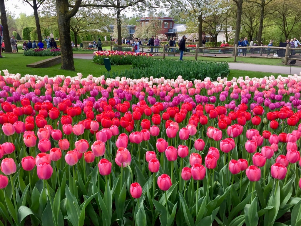 f:id:adamtomoko:20180425031112j:plain