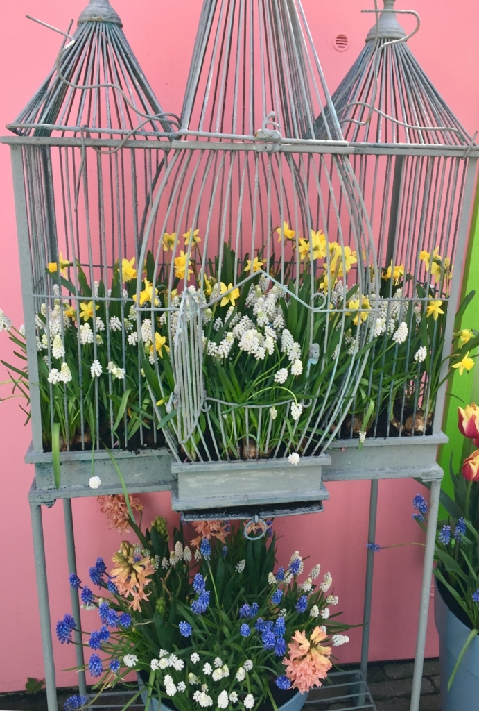 f:id:adamtomoko:20180425031507j:plain