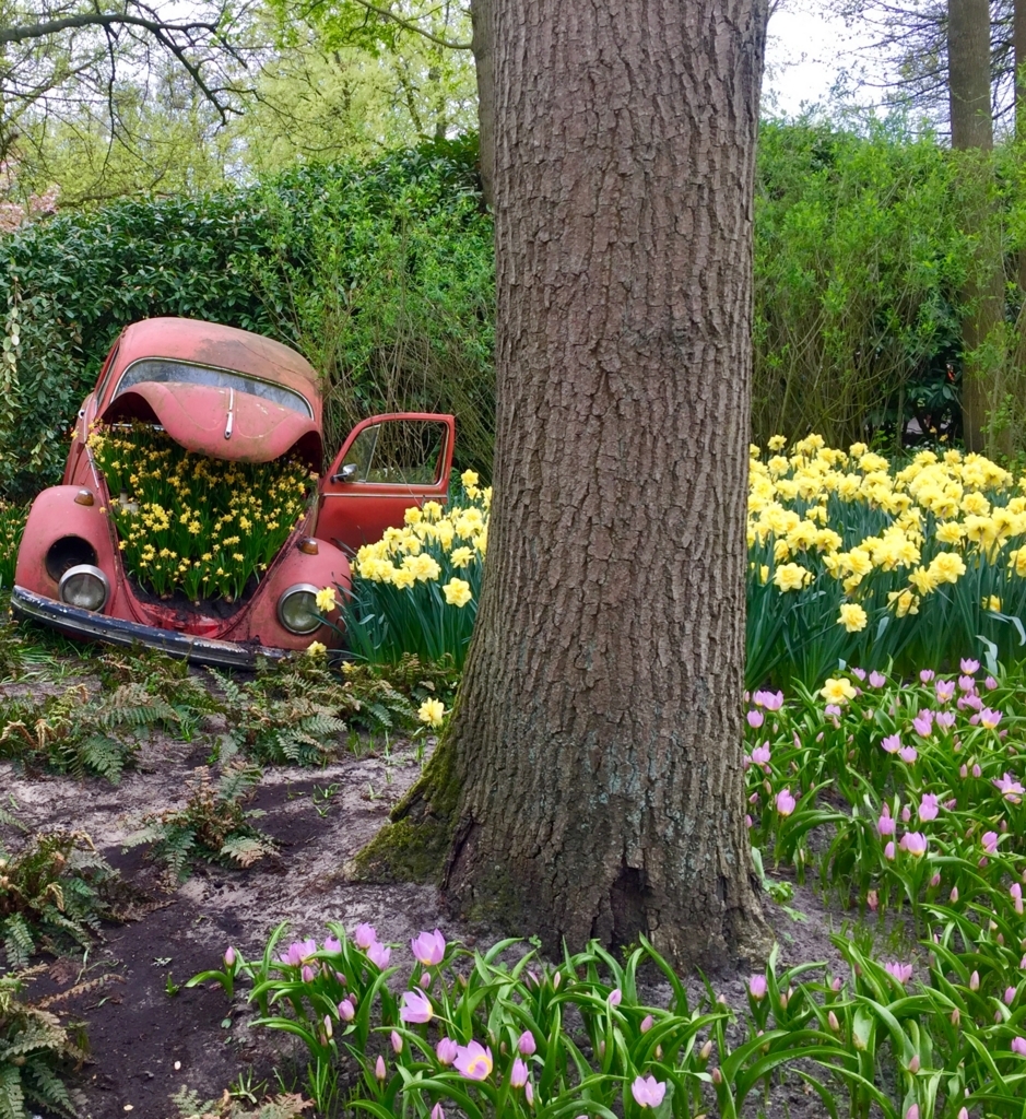 f:id:adamtomoko:20180425031548j:plain