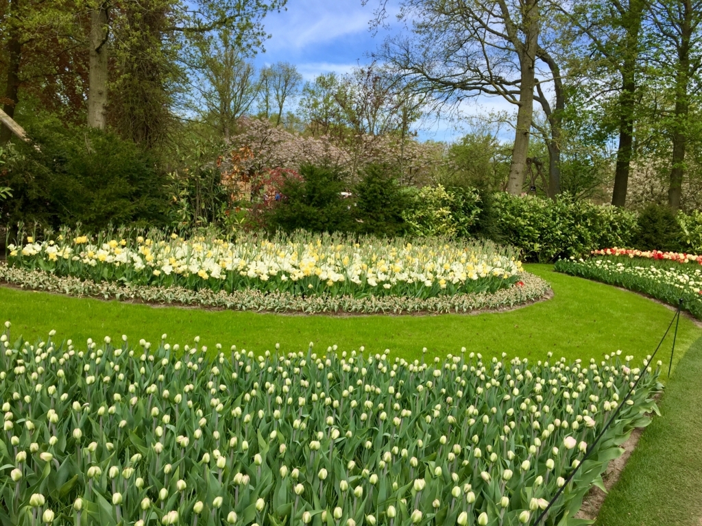 f:id:adamtomoko:20180425034520j:plain