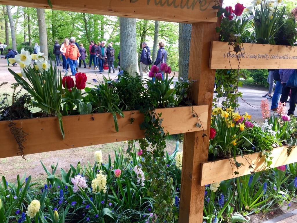 f:id:adamtomoko:20180425034556j:plain