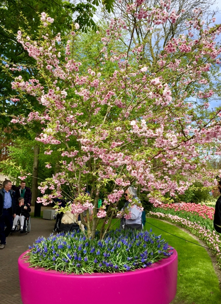 f:id:adamtomoko:20180425050330j:plain