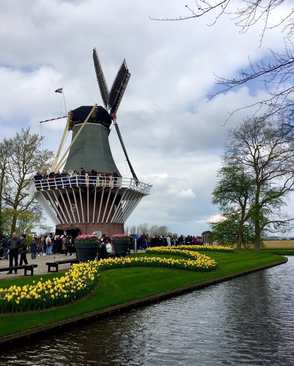 f:id:adamtomoko:20190426034731j:plain