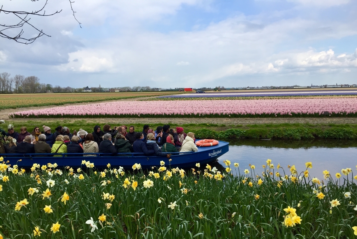 f:id:adamtomoko:20190426034757j:plain