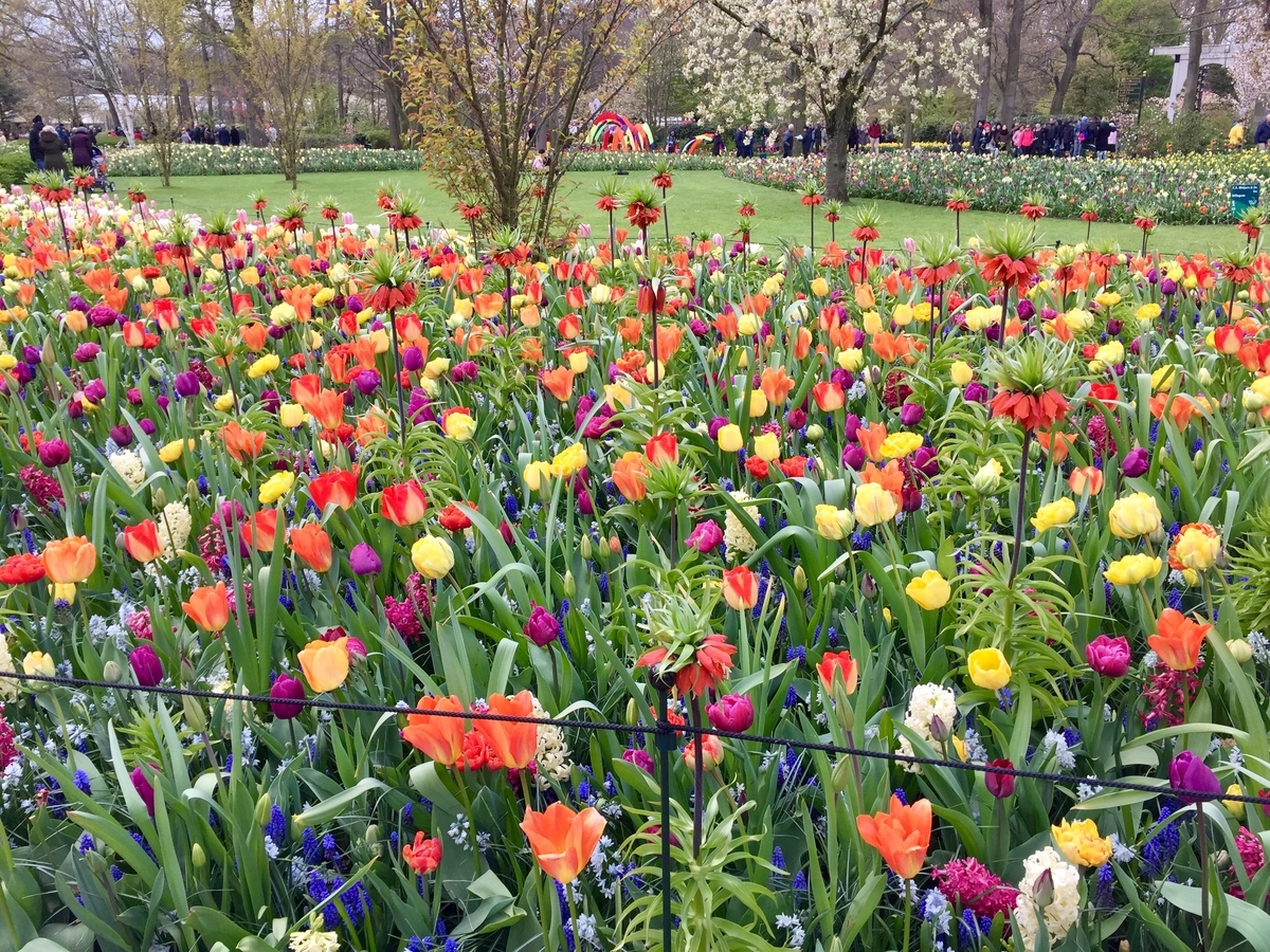 f:id:adamtomoko:20190426034910j:plain