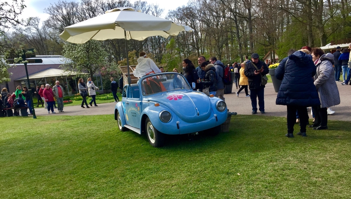 f:id:adamtomoko:20190426034946j:plain