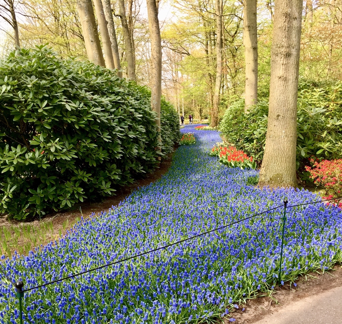 f:id:adamtomoko:20190426035419j:plain