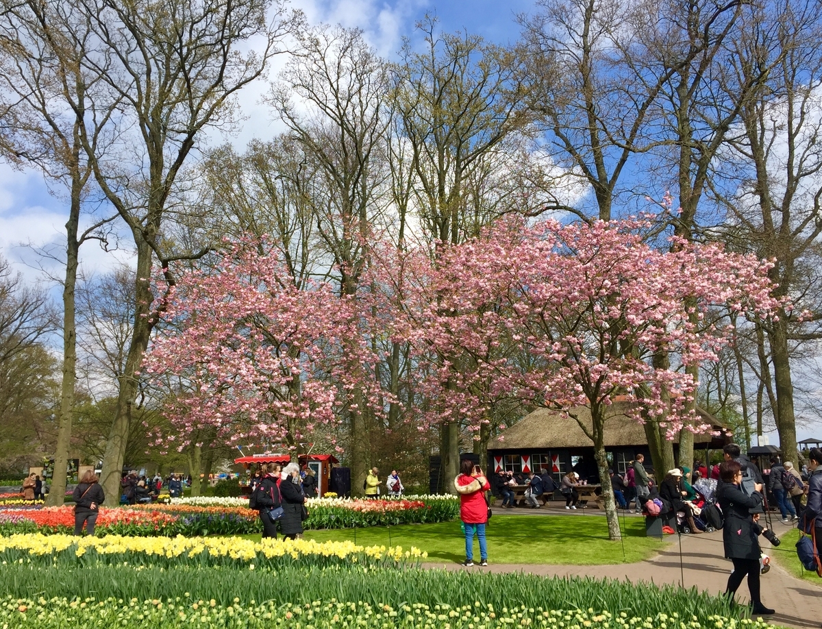 f:id:adamtomoko:20190426035502j:plain