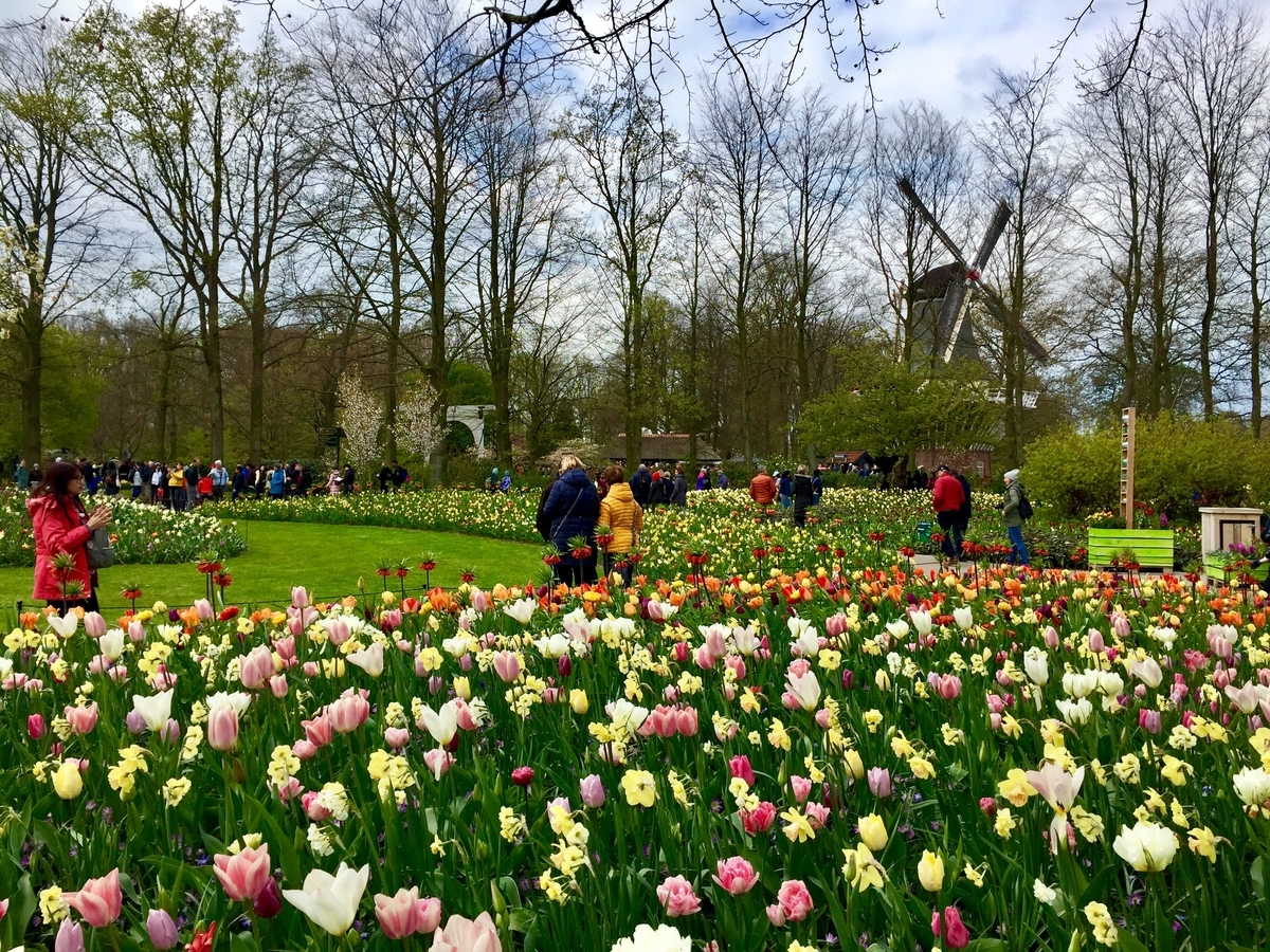 f:id:adamtomoko:20190426041852j:plain