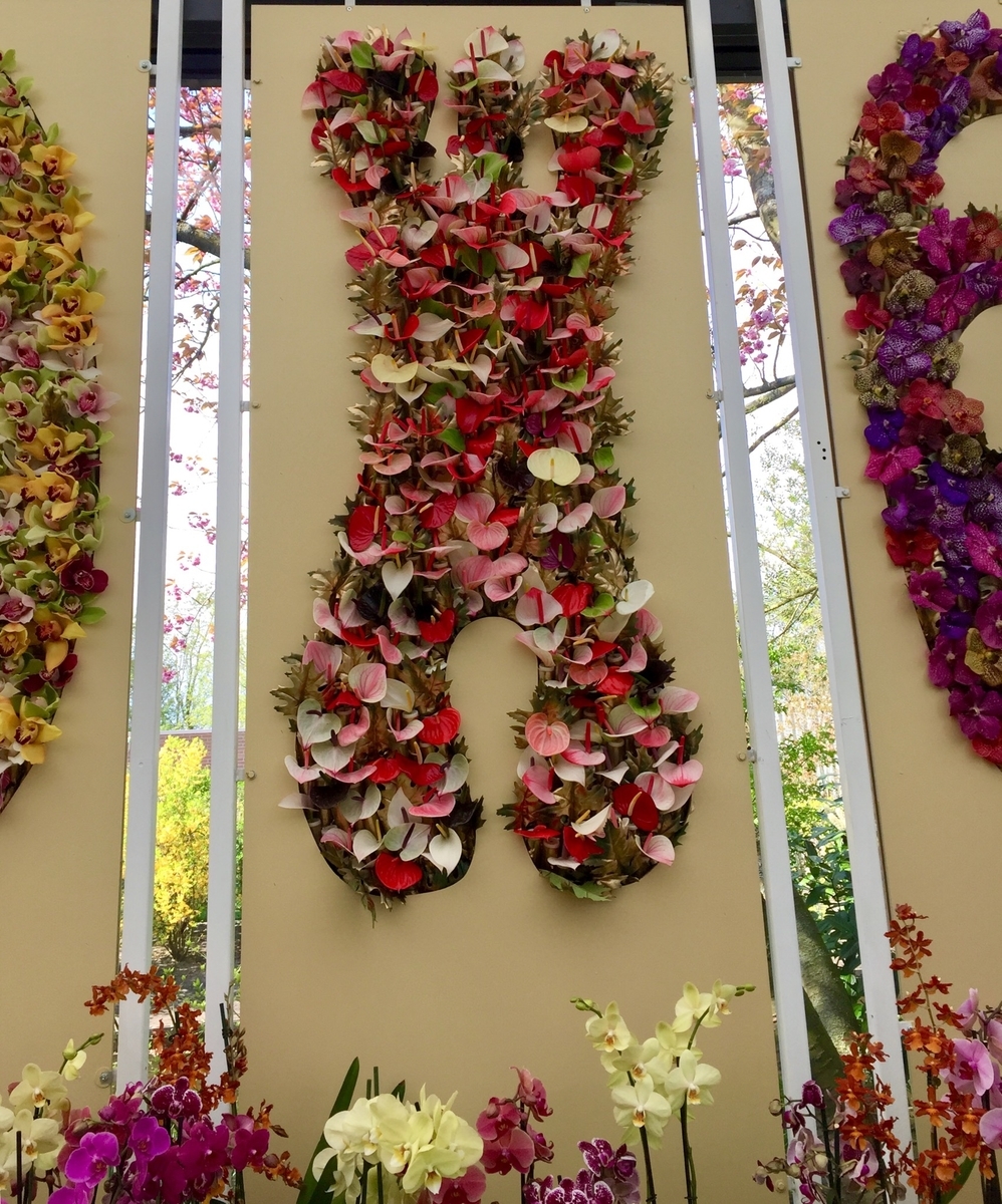 f:id:adamtomoko:20190426042107j:plain