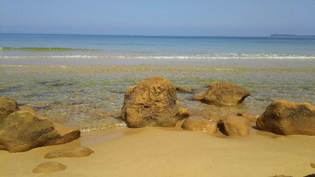 f:id:adan24:20160507155147j:image f:id:adan24:20160507155147j:image