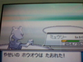 20100527191930