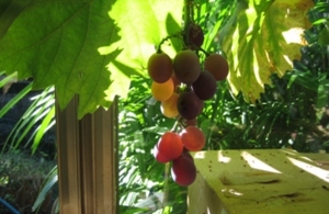 f:id:adayasu:20051001090527j:image:left