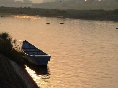 f:id:adayasu:20080518061733j:image:right