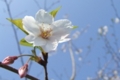 f:id:adayasu:20090330155829j:image:left