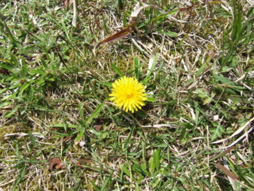 f:id:adayasu:20090406124847j:image:left