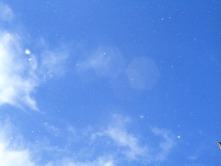 f:id:adayasu:20100131094254j:image