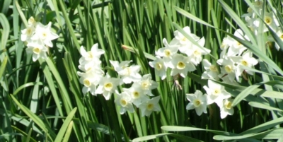 f:id:adayasu:20100219112438j:image:left