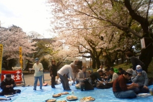 f:id:adayasu:20100405111300j:image:left