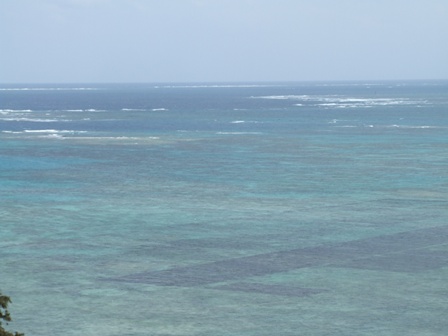 f:id:adayasu:20100426130843j:image:left