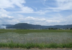 f:id:adayasu:20100610133524j:image:left