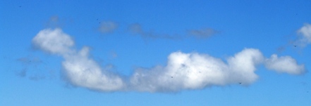 f:id:adayasu:20100809101916j:image