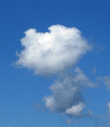 f:id:adayasu:20100809125614j:image